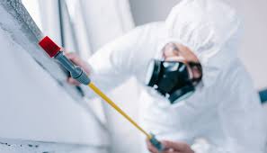 Best Pest Exclusion Services  in Sun City, AZ